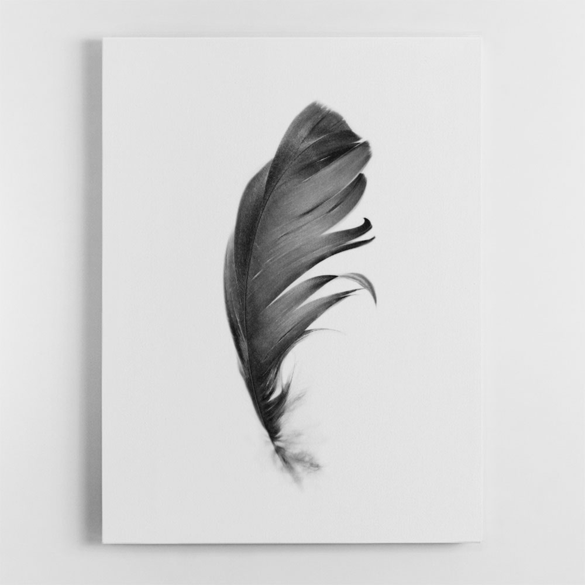 Feather Wall Art